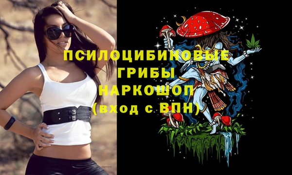 бошки Балахна