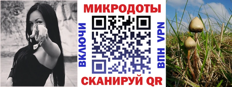 Галлюциногенные грибы прущие грибы Карачев